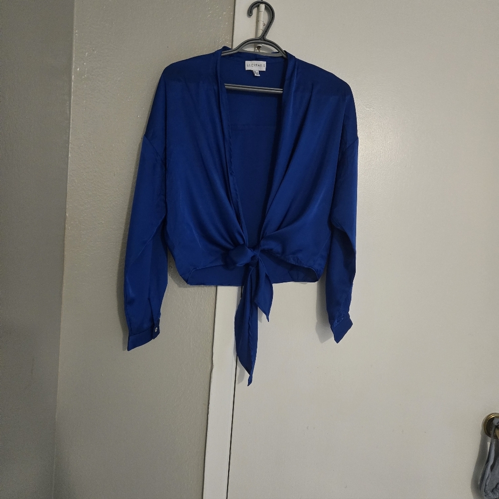 Lucy Paris Vibrant Blue Button-Down Shirt. Size S - Picture 5 of 11